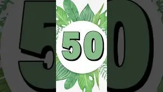 50 Seconds Countdown Timer With Soundeffect #shorts #countdown