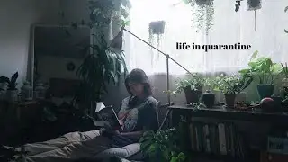 VLOG | life in quarantine