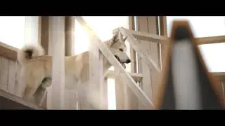 XENA - Отпусти