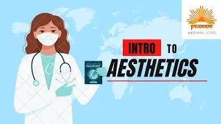 Introduction to Aesthetics