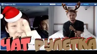 Чатрулетка DonDobrodon #1 UKULELE