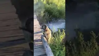 Давай, Колян