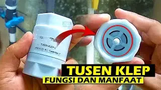 Manfaat dan Fungsi Tusen Klep yang Jarang Diketahui