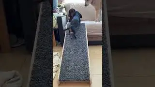 Прикроватный пандус, лесенка для собаки, кошки. 