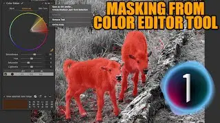 How to Mask From Capture One's Color Editing Tool | Samy's PhotoSchool
