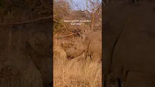 Special wildlife encounters from 2023 ✨ 