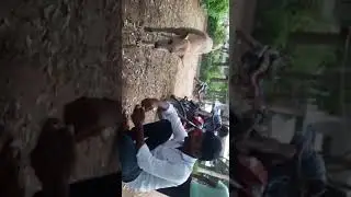 Kind of Love on Animals || Dog Lover || Pet Dog Food || Humanity || SavyaSachi
