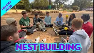 Nest Building - Memory Verse Game