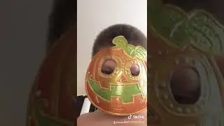 Ужастик #2