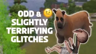 Common glitches I’ve gotten while playing the Sims 3