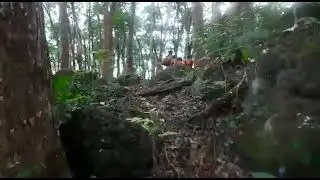 yel yel TNI di dalam HUTAN