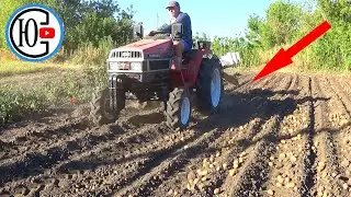 Соседи попросили... Копаем КОМБАЙНОМ прямо на землю.