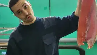 Солю Красную кету, Дальний Восток Рыба. Сезон 2023