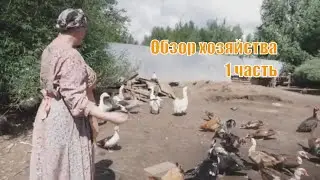 Утро  
