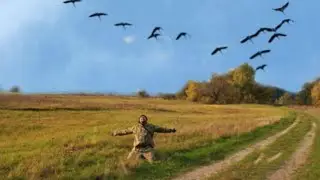 Алекс - Мои журавли..