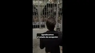 US Congressmen visit CECOT (Center for the Confinement of Terrorism) | Subtítulos en Español