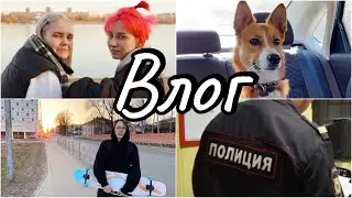 ВЛОГ| Нападение соседа| Полиция| Новый пёс 🐶