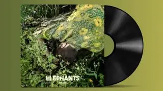The Elephants – Iceland [Official Audio]