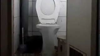 Петарда в унитазе)))