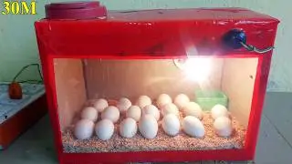 HOW TO MAKE INCUBATOR FOR CHICKEN EGGS | HOW TO MAKE EGG INCUBATOR AT HOME
