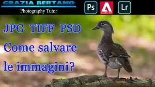 JPG TIFF PSD Come salvare le immagini?