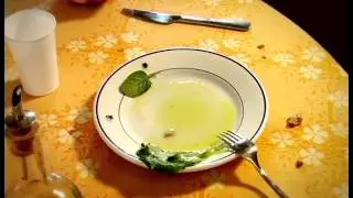 Насекомые Паук черный  Ломоть сыра