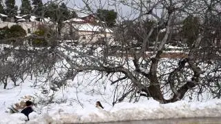 Nikon D750 Video test - Winter in Israel