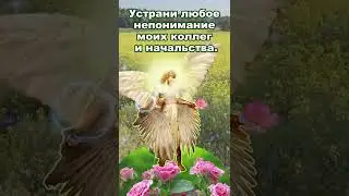 Молитва Ангелу Хранителю о работе.