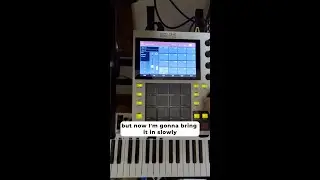Smashing some bathroom reverb with a Bluey! Vid via @dan.sam.jams