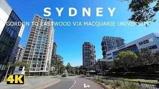 Driving Through Macquarie University – Gordon To Eastwood | 4K HD ASMR POV Drive
