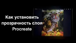 Как установить прозрачность слоя  Procreate