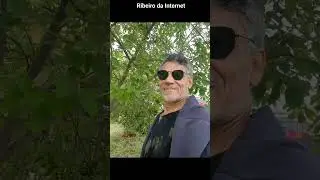 foto Ribeiro da Internet