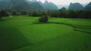 Green Nature - No Copyright Video - Free Stock Footage