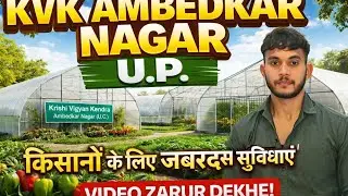 KVK krishi vigyan Kendra Panti Akbarpur Ambedkar Nagar Uttar Pradesh....| #kvk #krishi #farming 