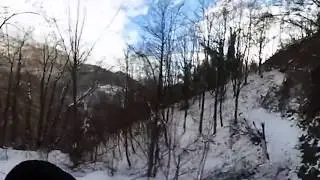 Passeggiata nel Bosco a 360°