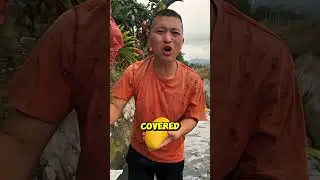 Unique Mango Farming 😍