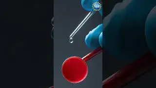 Liquid Biopsy