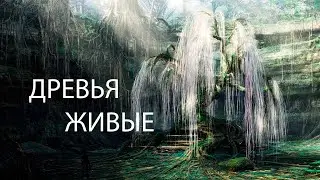 Сажаем Древья с Душой, ведь наступила Весна