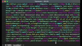 10 сек для форматирования bootstrap-min-css в vim с плагином prettier