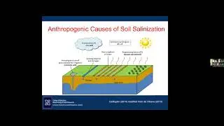 Soil Salinity in Nevada: Causes, Effects and Management Options - Paul Verburg