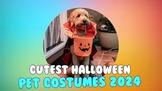 2024's Cutest Halloween Costumes for Dogs & Cats: Spook-tacular Picks Under $20!