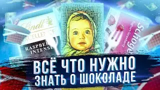 Всё, что надо знать о Шоколаде!