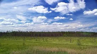 Мшинская-Табор-Болото
