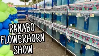 PANABO FLOWERHORN SHOW 2022