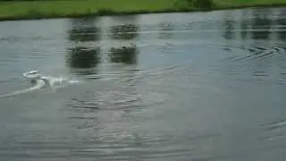 Delta Cruiser 26