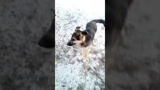 КТО ТАКОЙ УТОНАГАН?