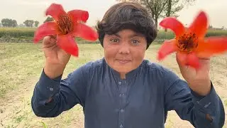 Asmr In Outdoor fast and aggressive