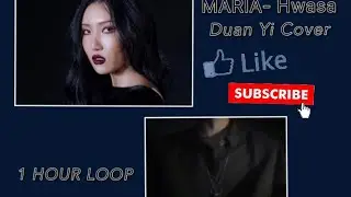 | MARIA | Hwasa - Mamamoo (DUAN YI COVER) [1 HOUR LOOP]