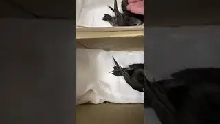 5013