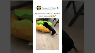 Quando a caminha combina com o dono 😂🌭🐶 